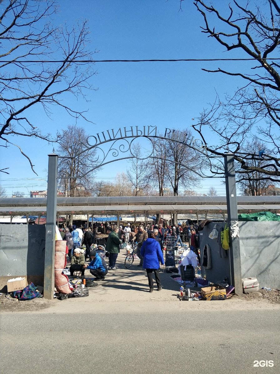 удельный рынок в санкт петербурге