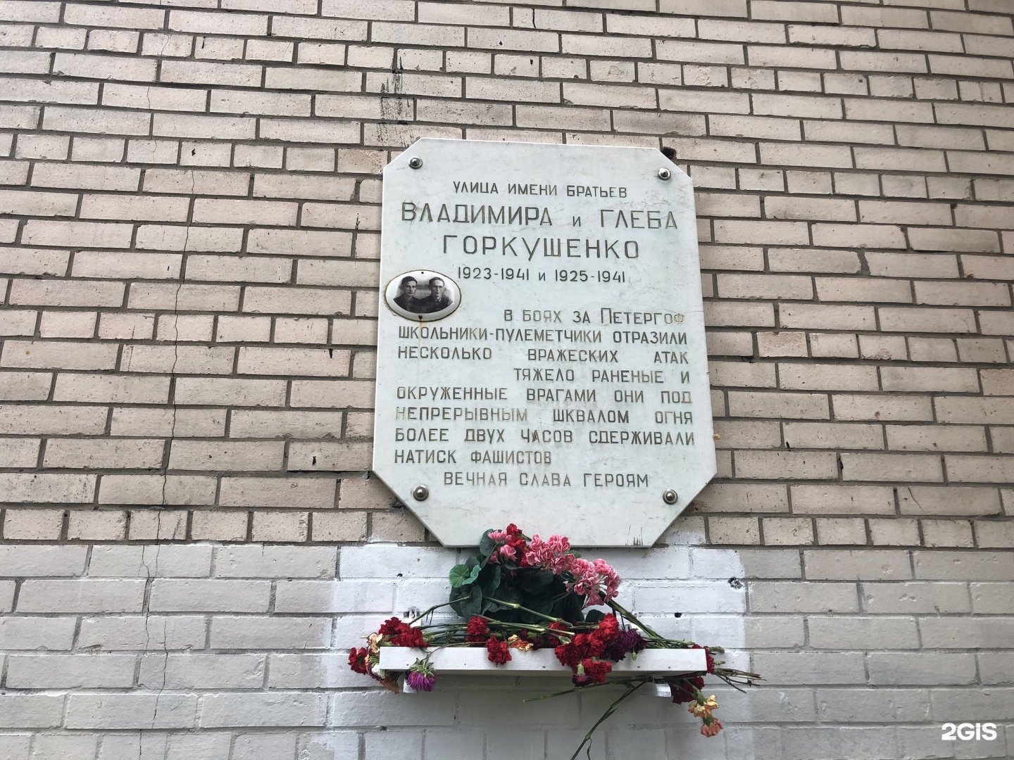 Улица братьев. Братья Горкушенко подвиг Петергоф. Братья Горкушенко подвиг. Петергоф ул братьев Горкушенко 9. Братья Горкушенко история.