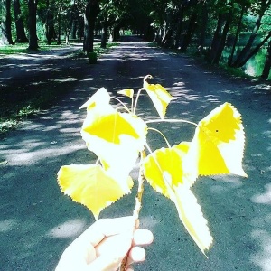 Фото от владельца Южный, ландшафтный парк