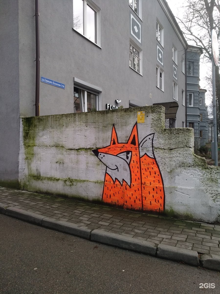 Граффити лиса в Калининграде