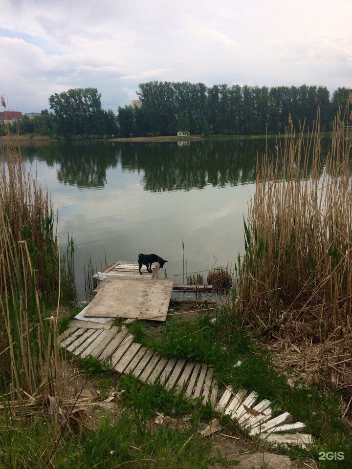 Ой гор. Рубиновая гора Пенза. Ласточкины горы Пенза.