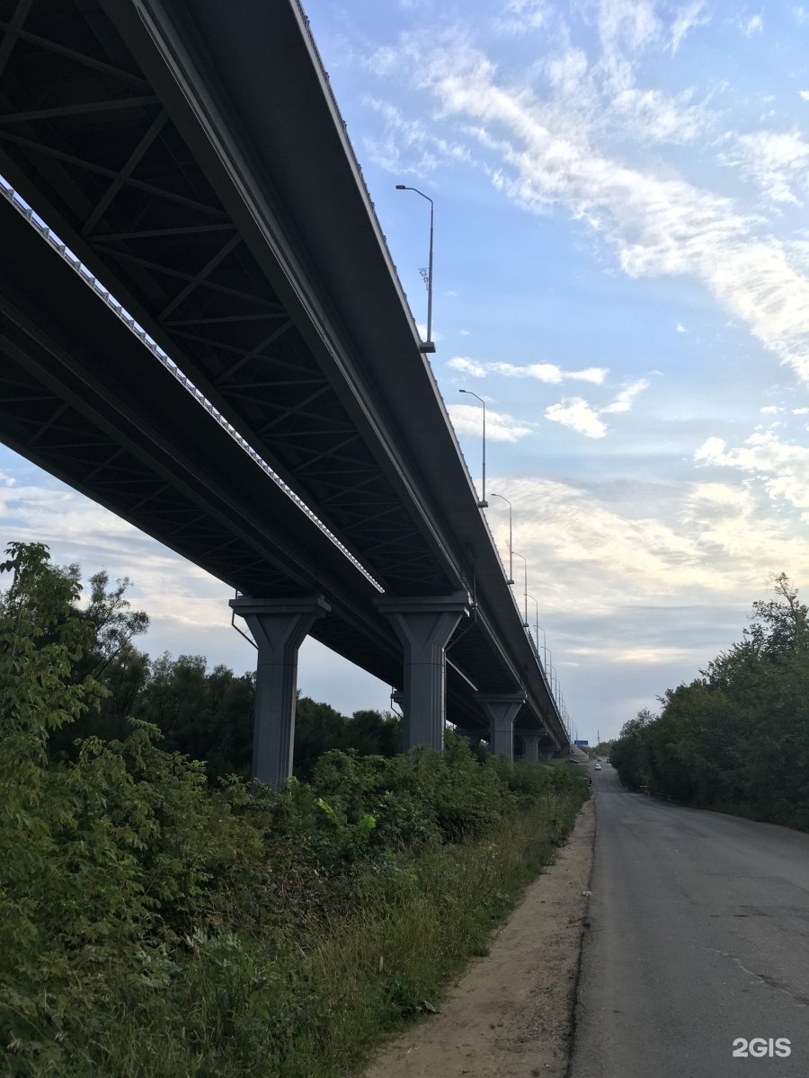 мост из автобусов