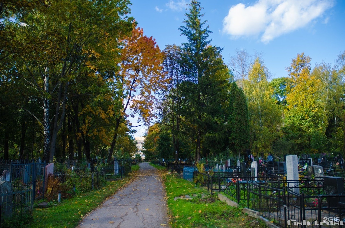 Смоленское братское. Братское кладбище Смоленск. Погуляев Братское кладбище Смоленск. Смоленская Братск. Братское кладбище Смоленск адрес.