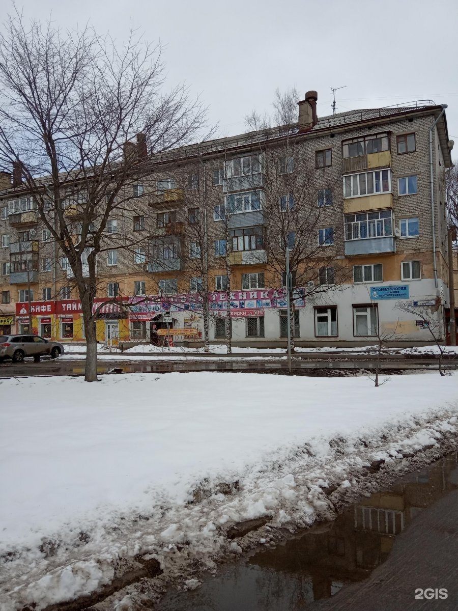 Горького 113