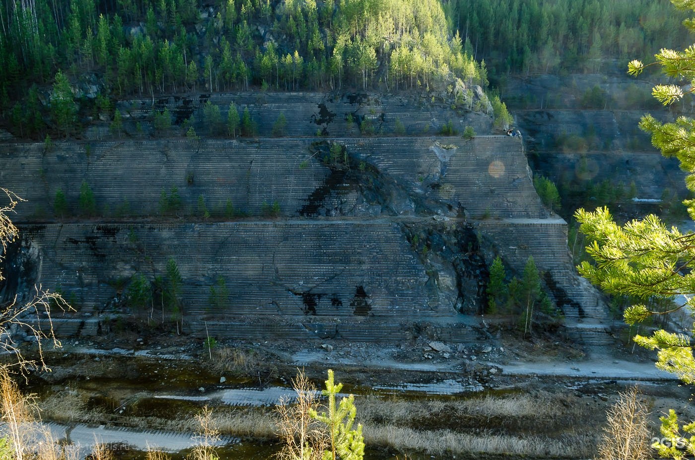 Шабры свердловская область фото