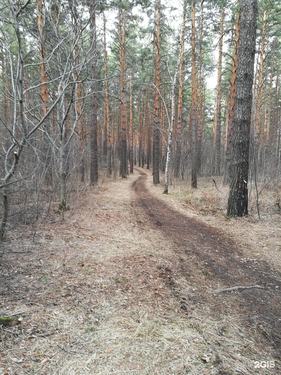 Уктусский лесопарк екатеринбург карта