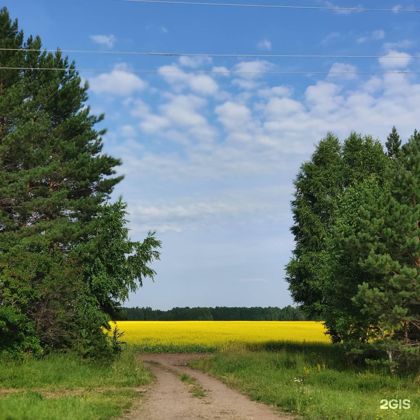 Никитина, 56 в Томске — 2ГИС