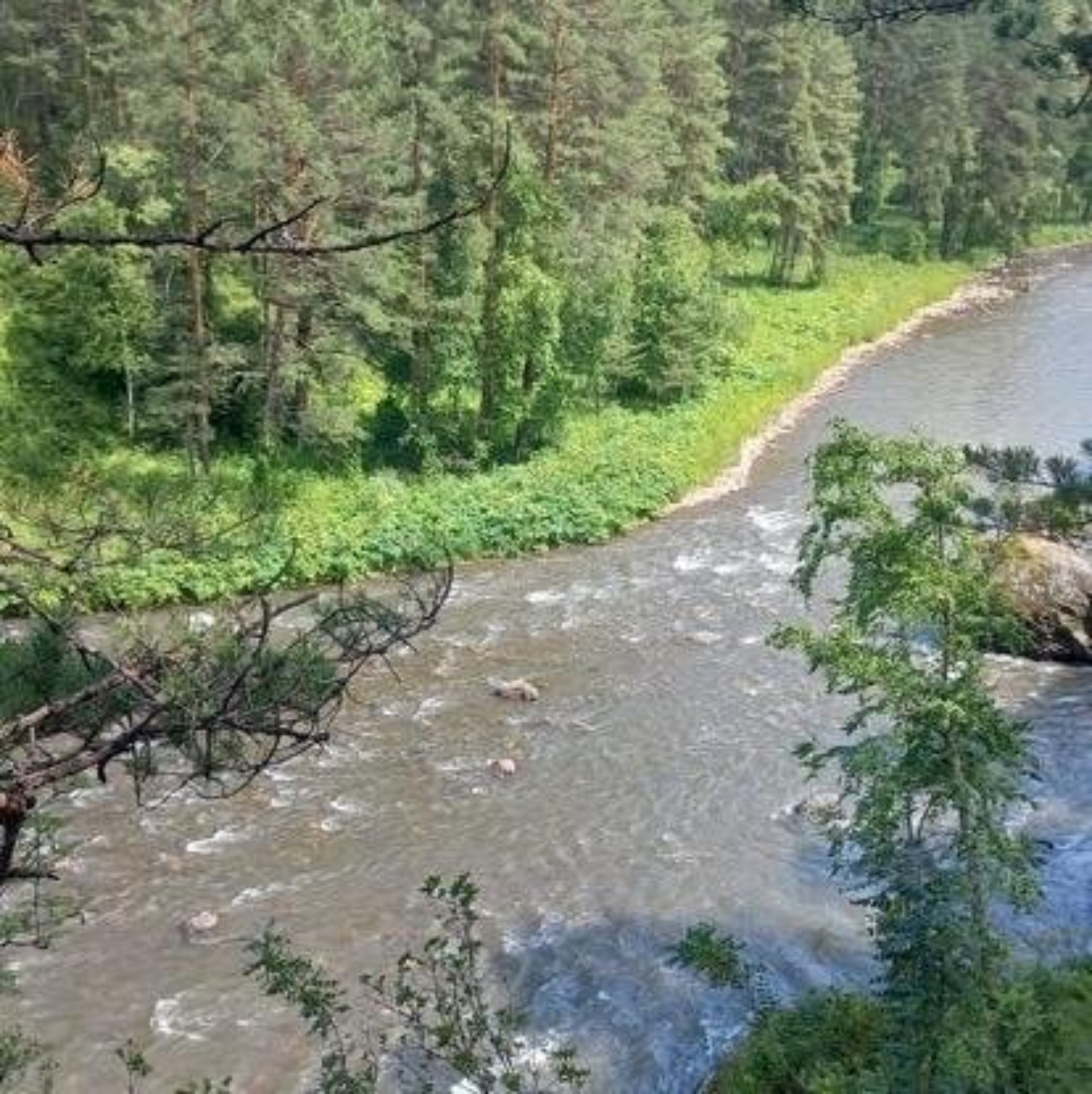 Шебалинская центральная районная больница, улица Фёдорова, 24, с. Шебалино  — 2ГИС