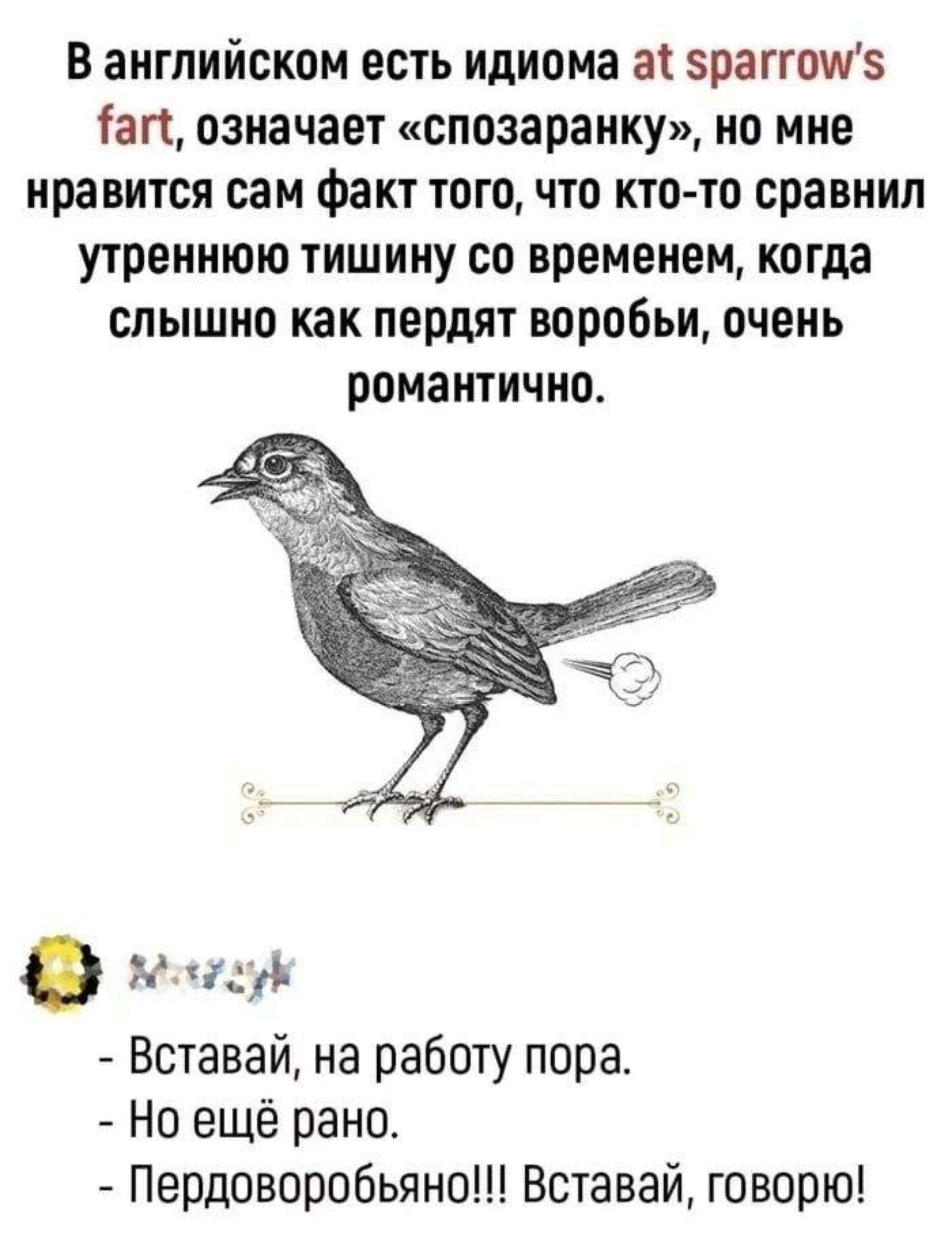 Мултон Партнерс, филиал в г. Владивостоке, 2-я Шоссейная улица, 1а ст3,  Владивосток — 2ГИС