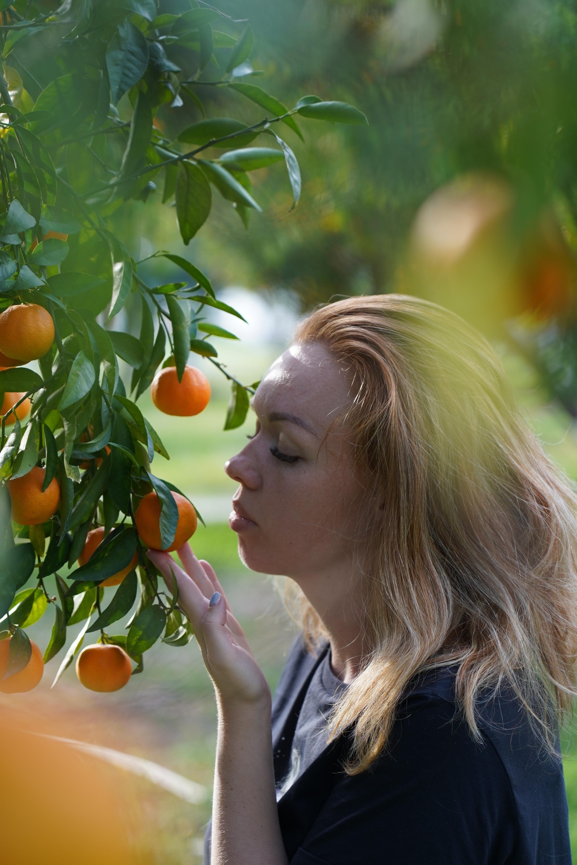 Sweet moment, цветочная лавка, улица Щетинкина, 40, Абакан — 2ГИС