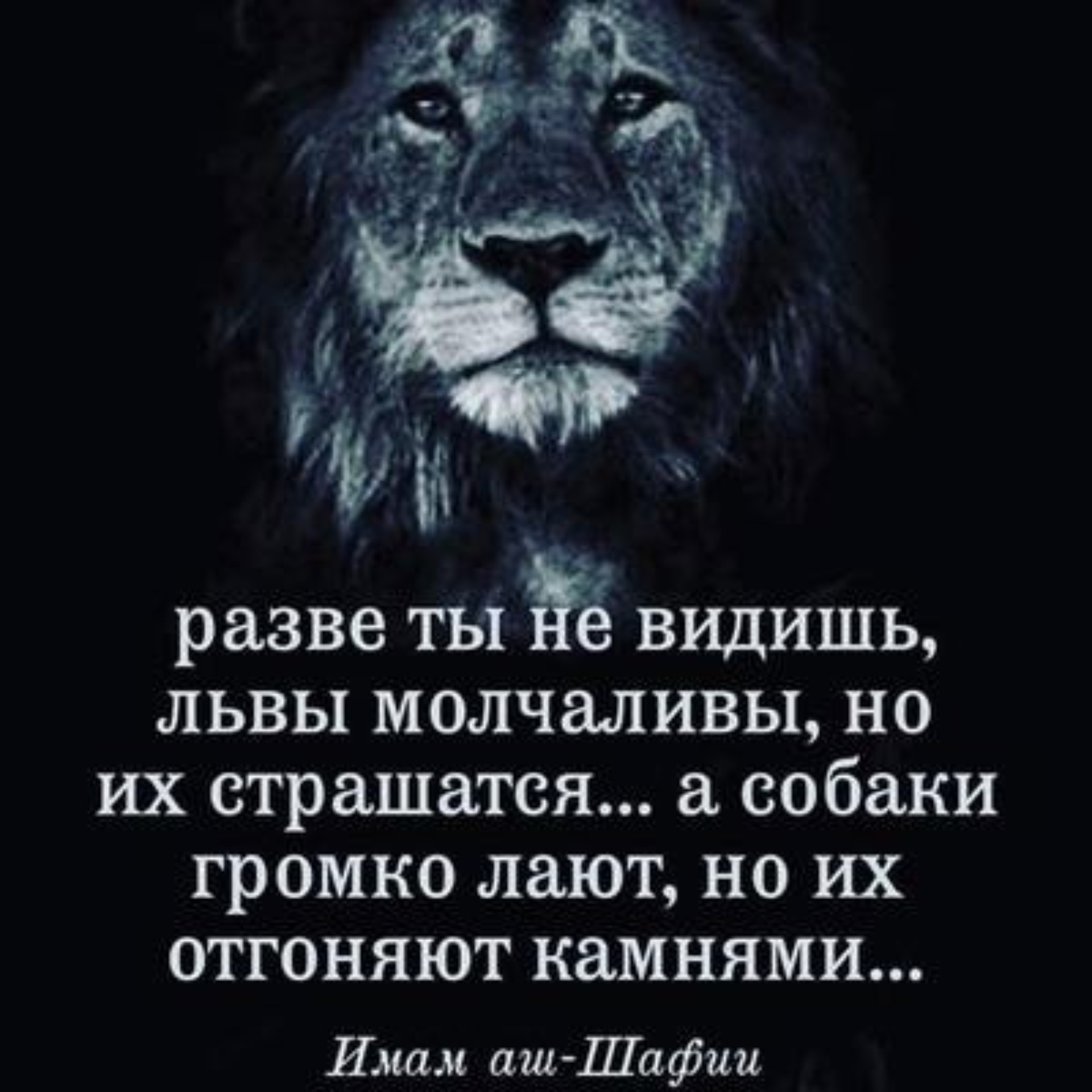 Скит, рыбодобывающая компания, проспект Победы, 69, Петропавловск-Камчатский  — 2ГИС