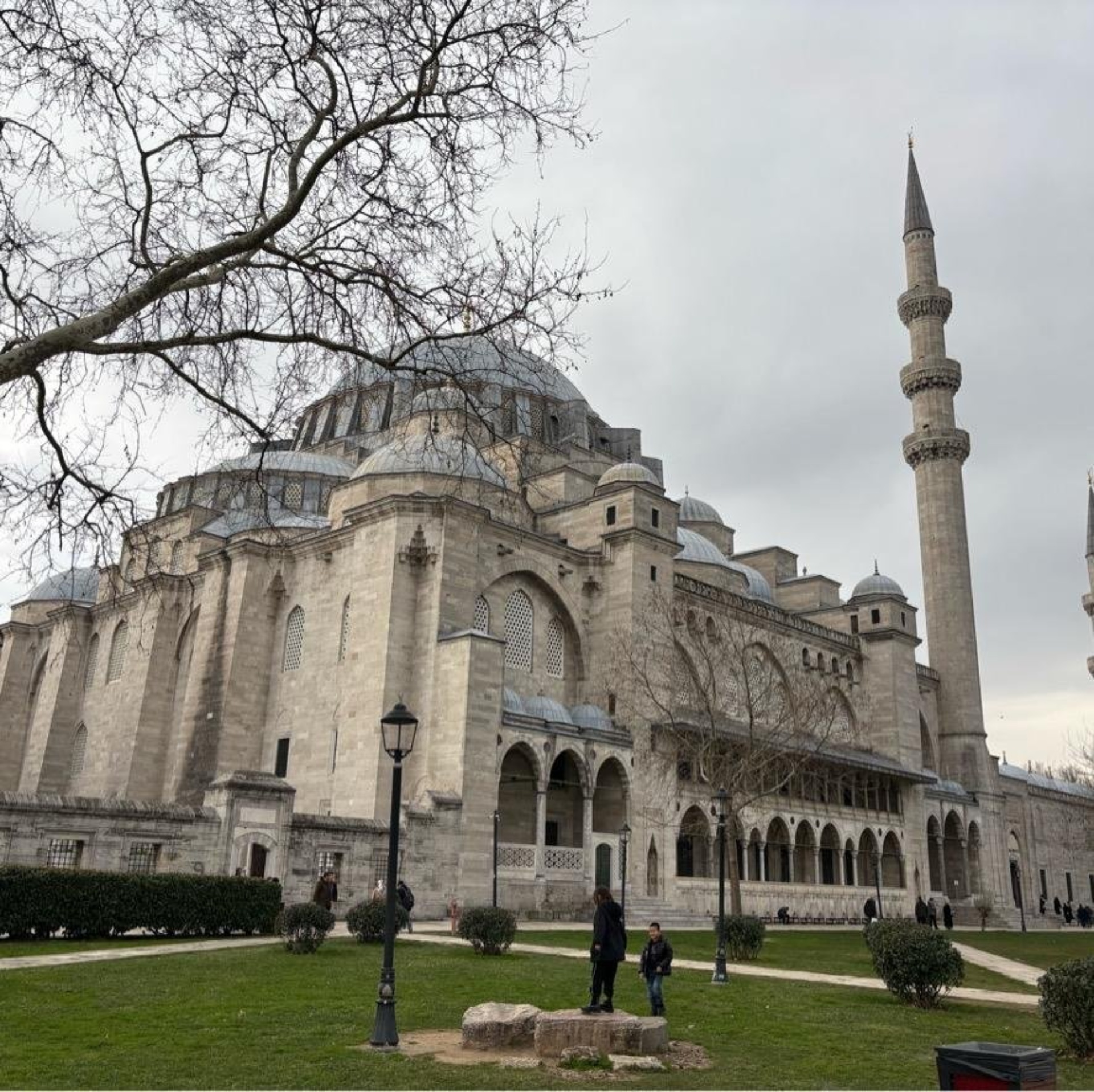 Транс транс трафиктің видеолары