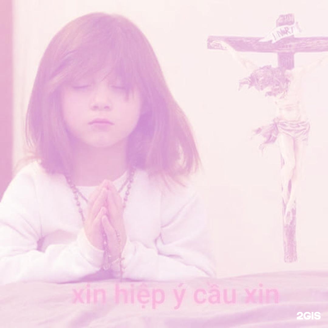 Автор отзыва alineee gud