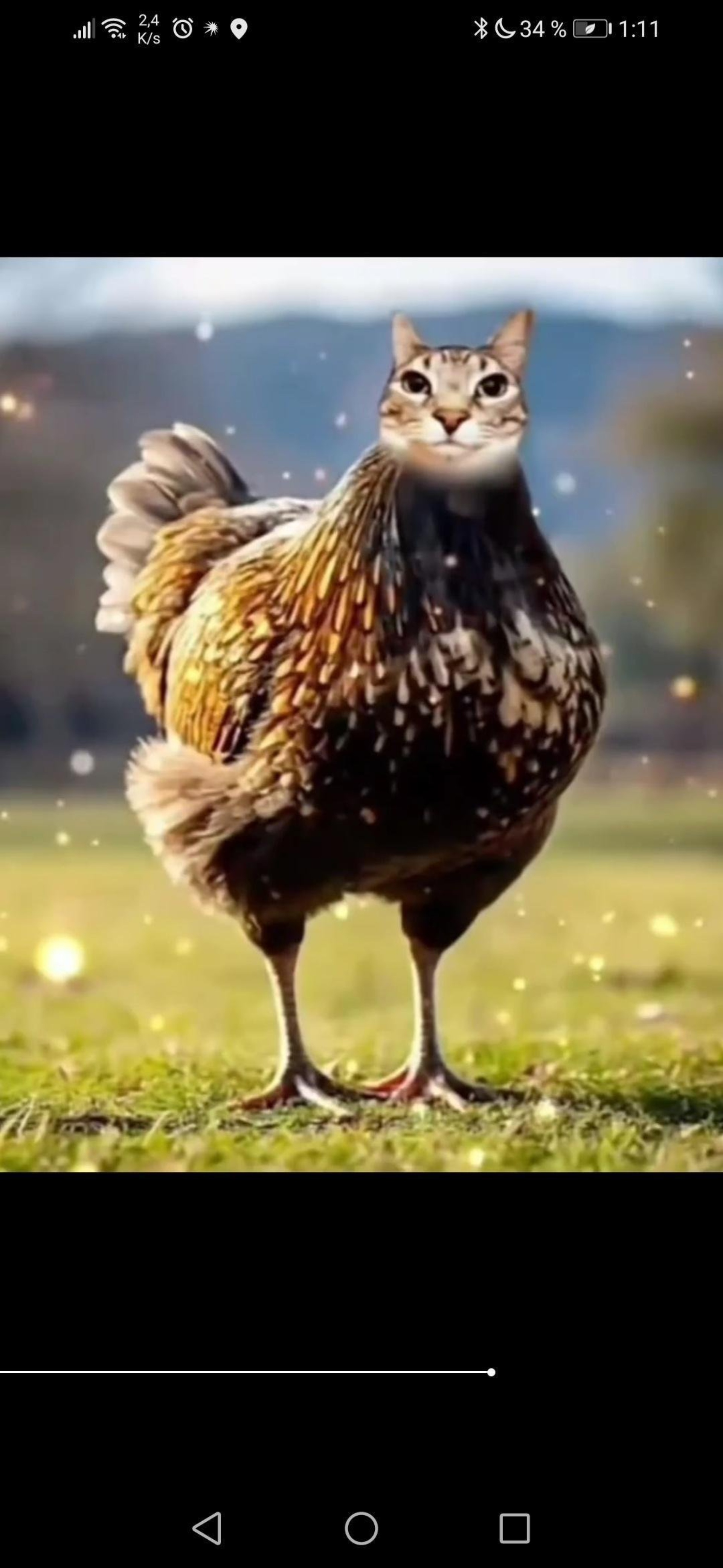 Веб-камерадағы шынайы секс