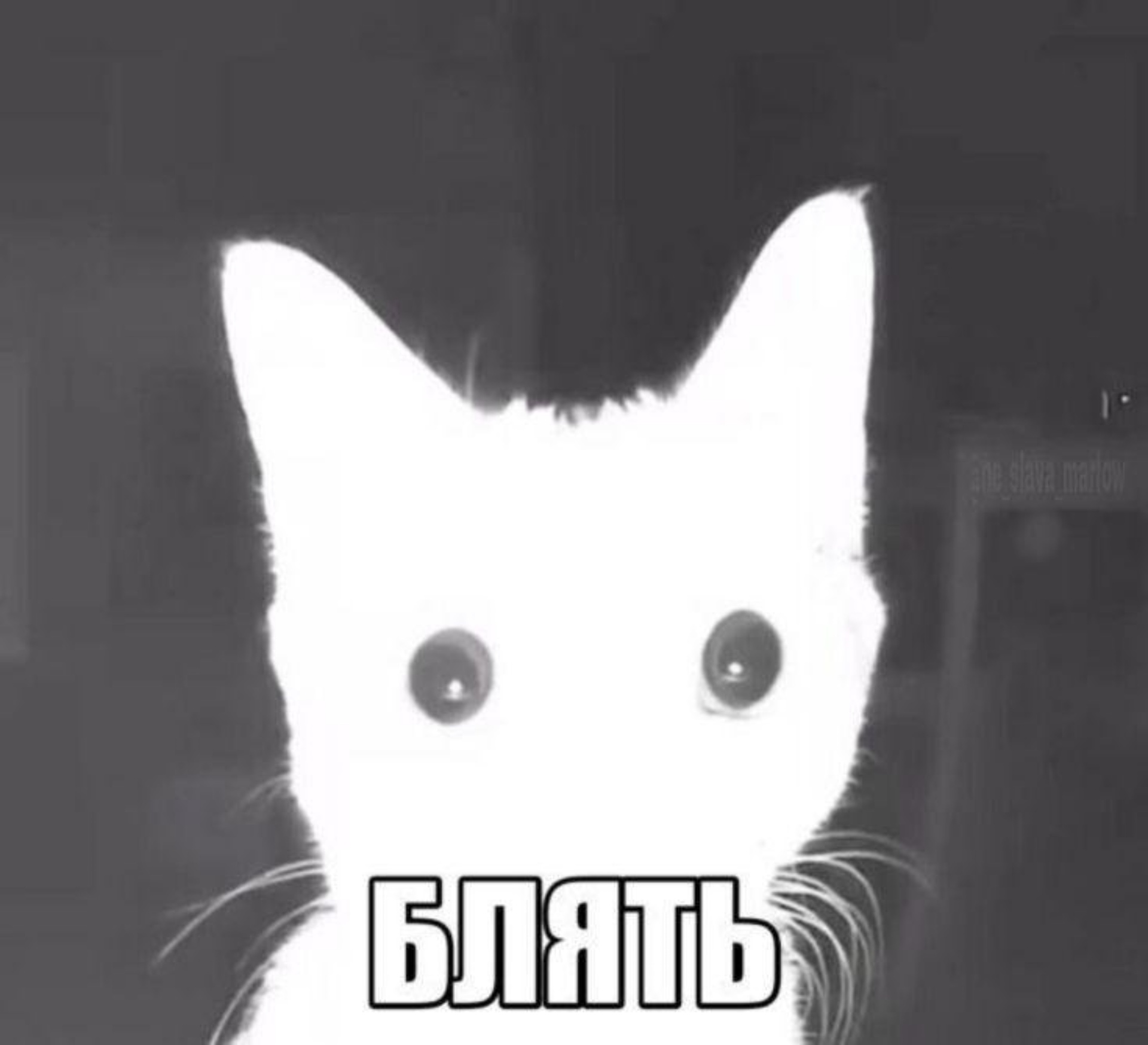 Блять өте жақсы Блять өте жақсы