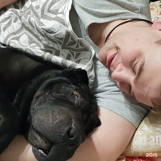 Магазин Сталкер Мегагринн Белгород Каталог Магазин Сталкер Мегагринн Белгород Каталог