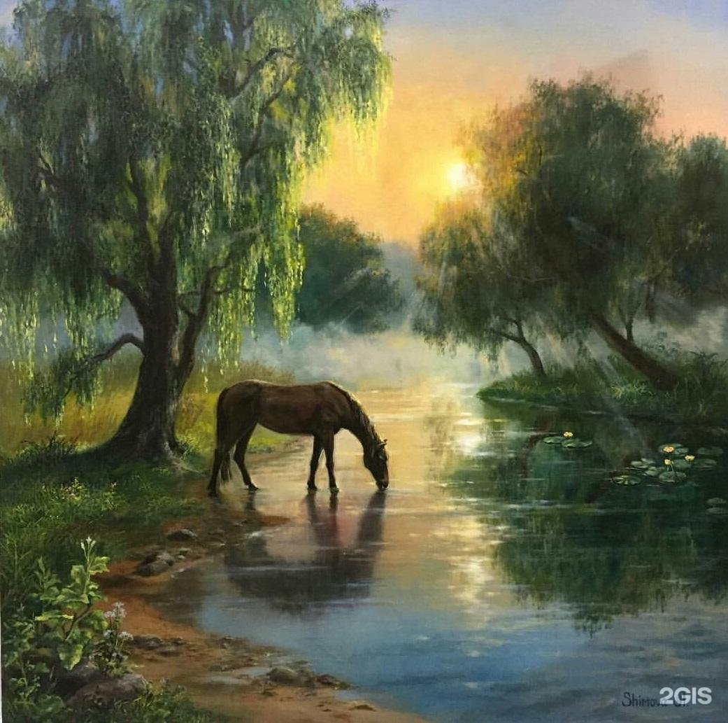 Изображение организации