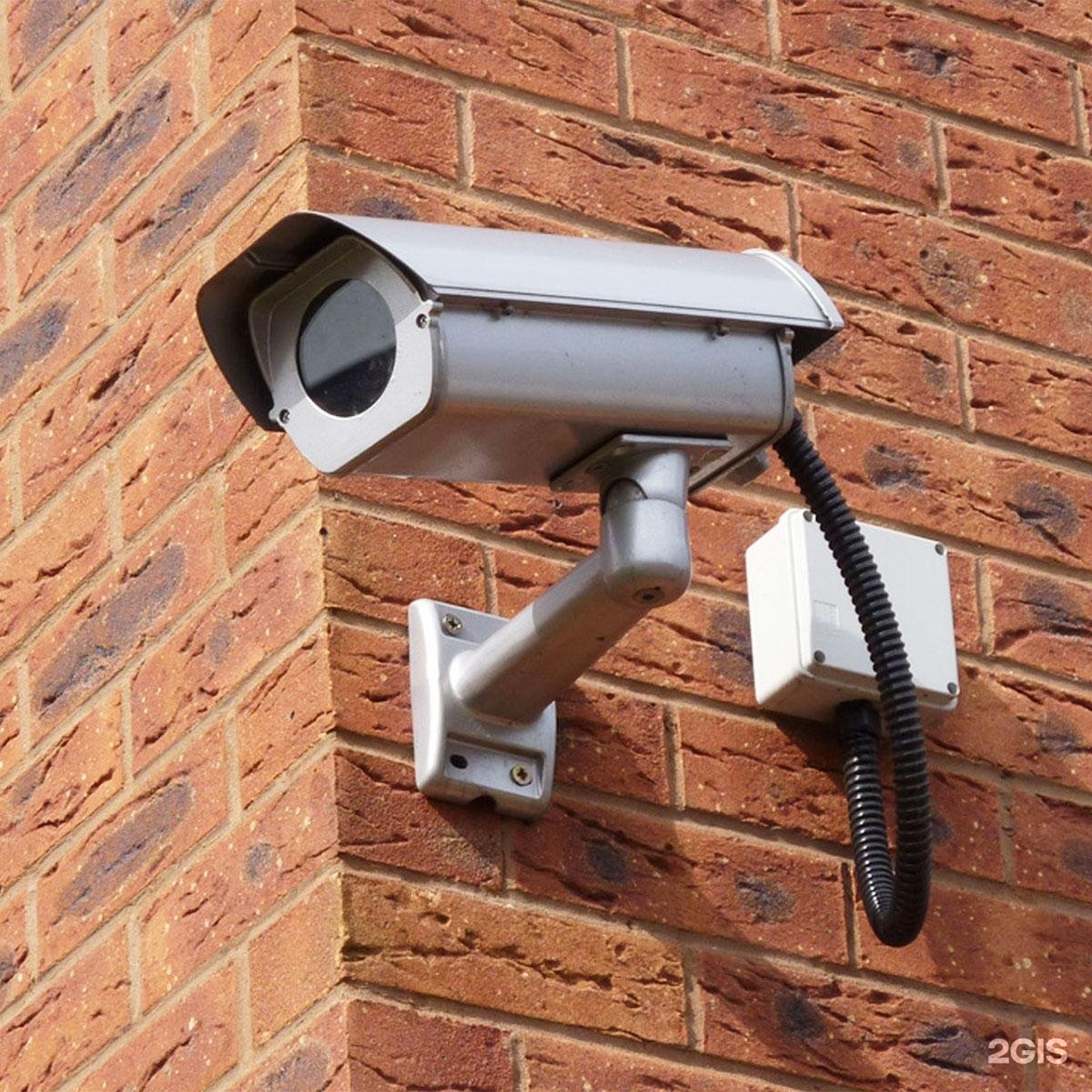 Изображение организации