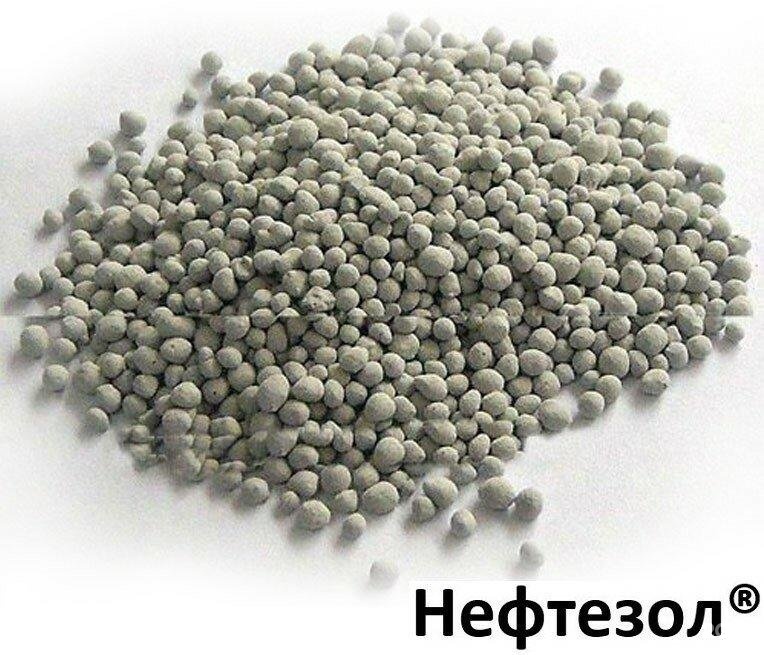 Изображение организации