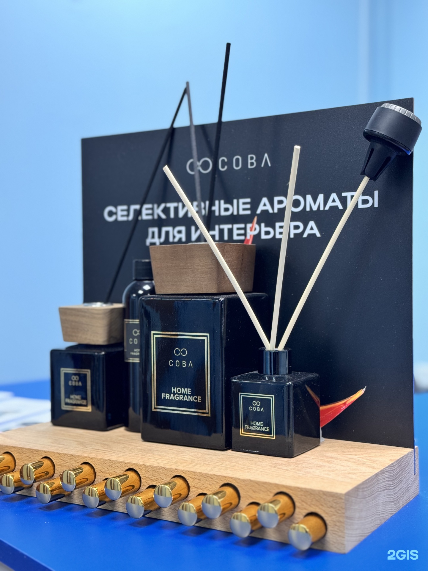 Изображение организации