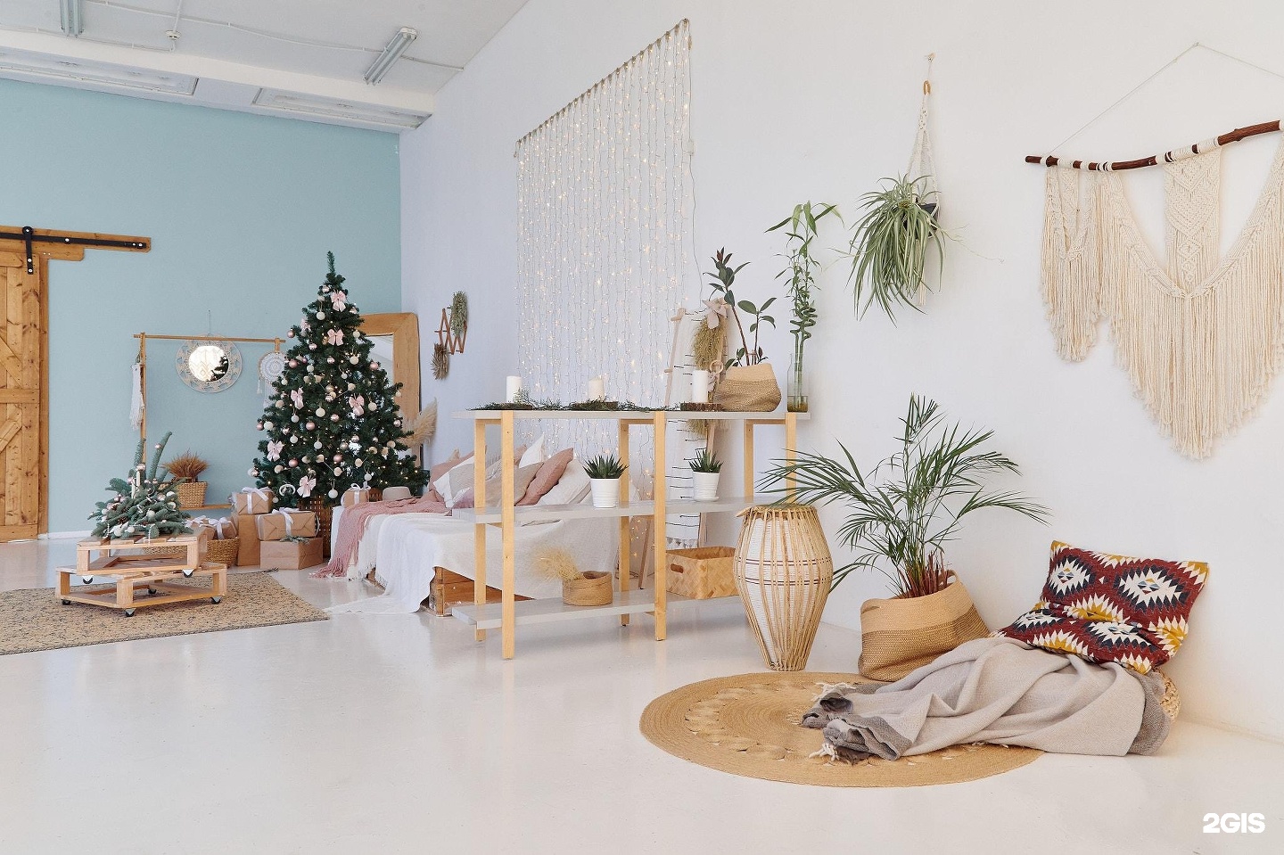 Изображение организации