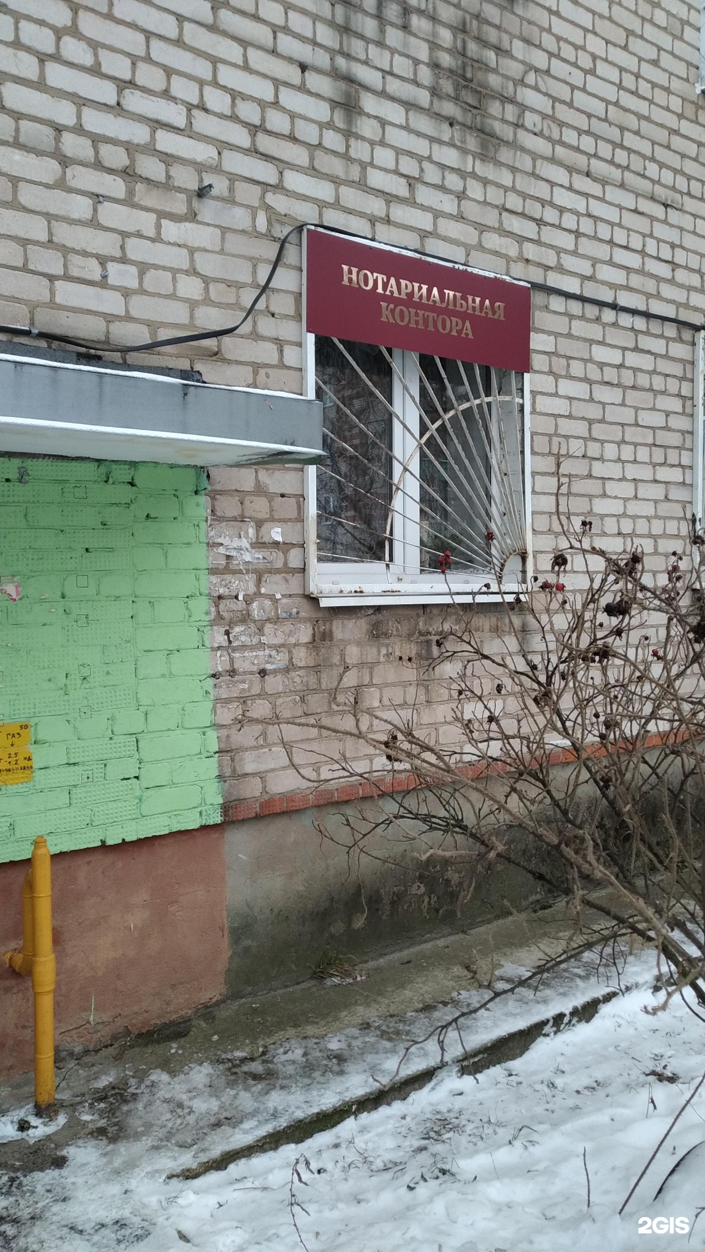 Изображение организации