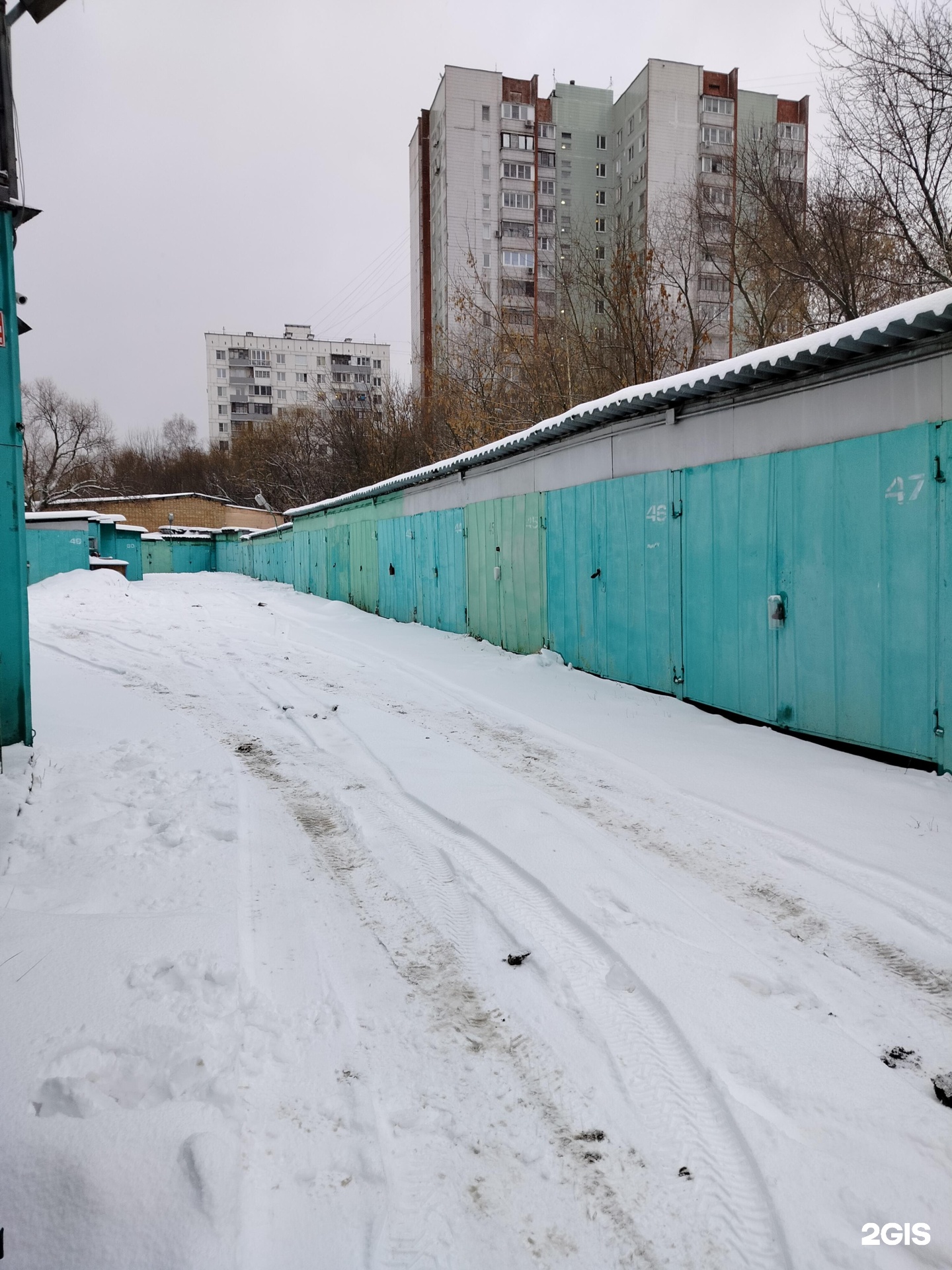 Изображение организации