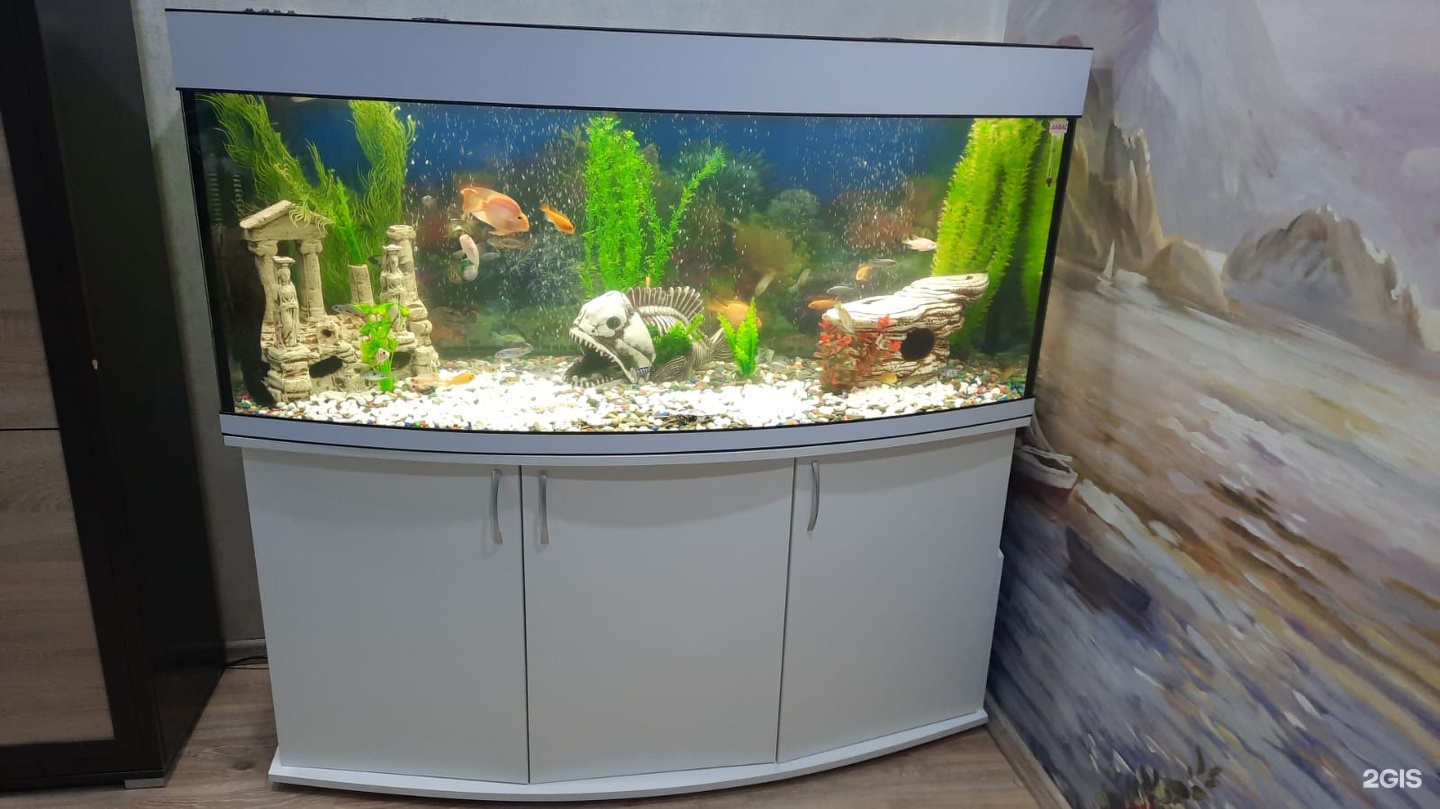 Изображение организации