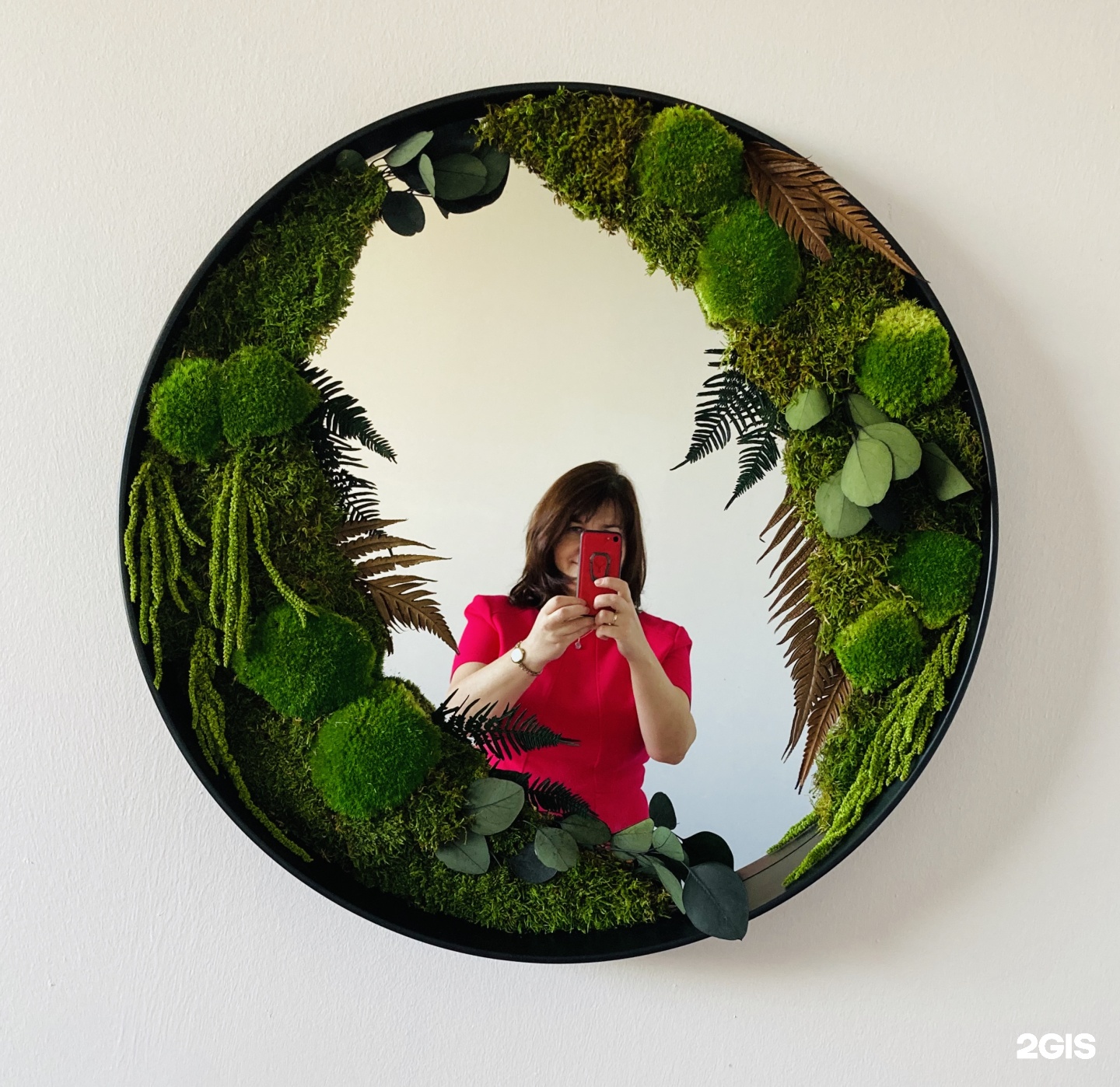 Изображение организации