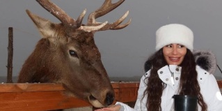 Талое: Отель Саянский Марал Аршан