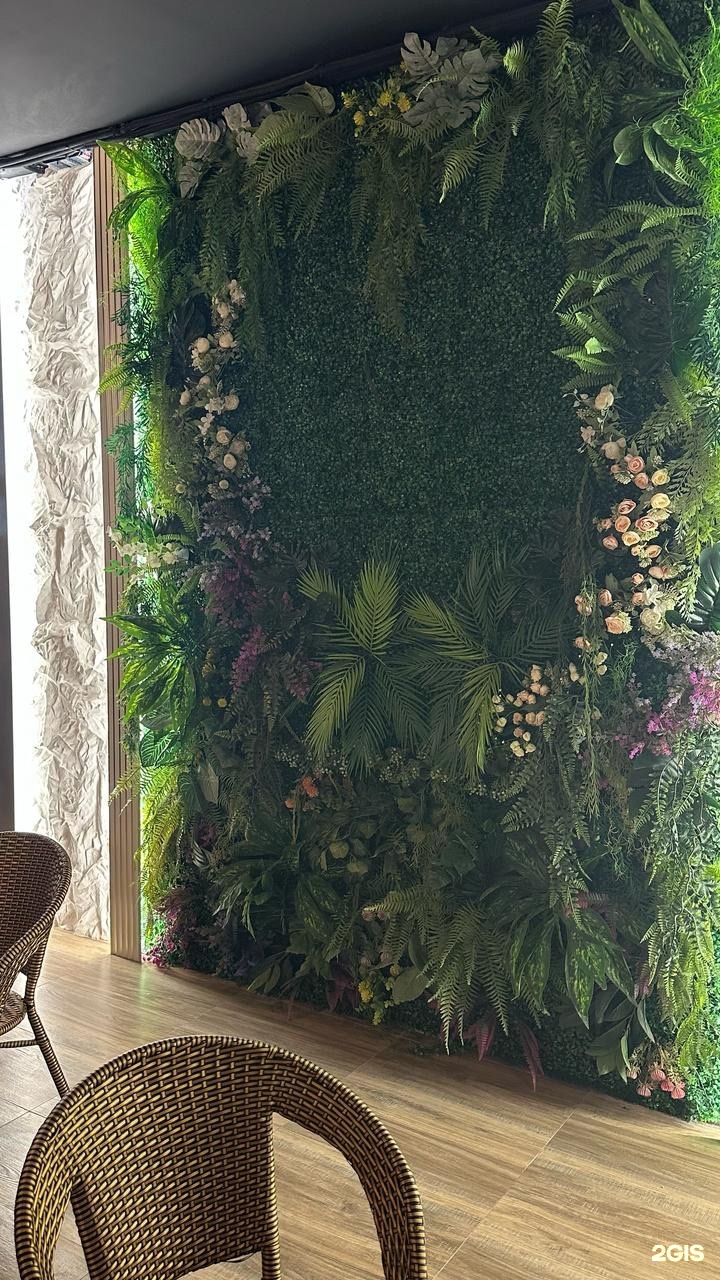 Aurora SPA