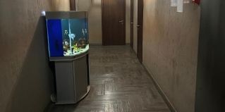 Степанщино: Отель Отель м5