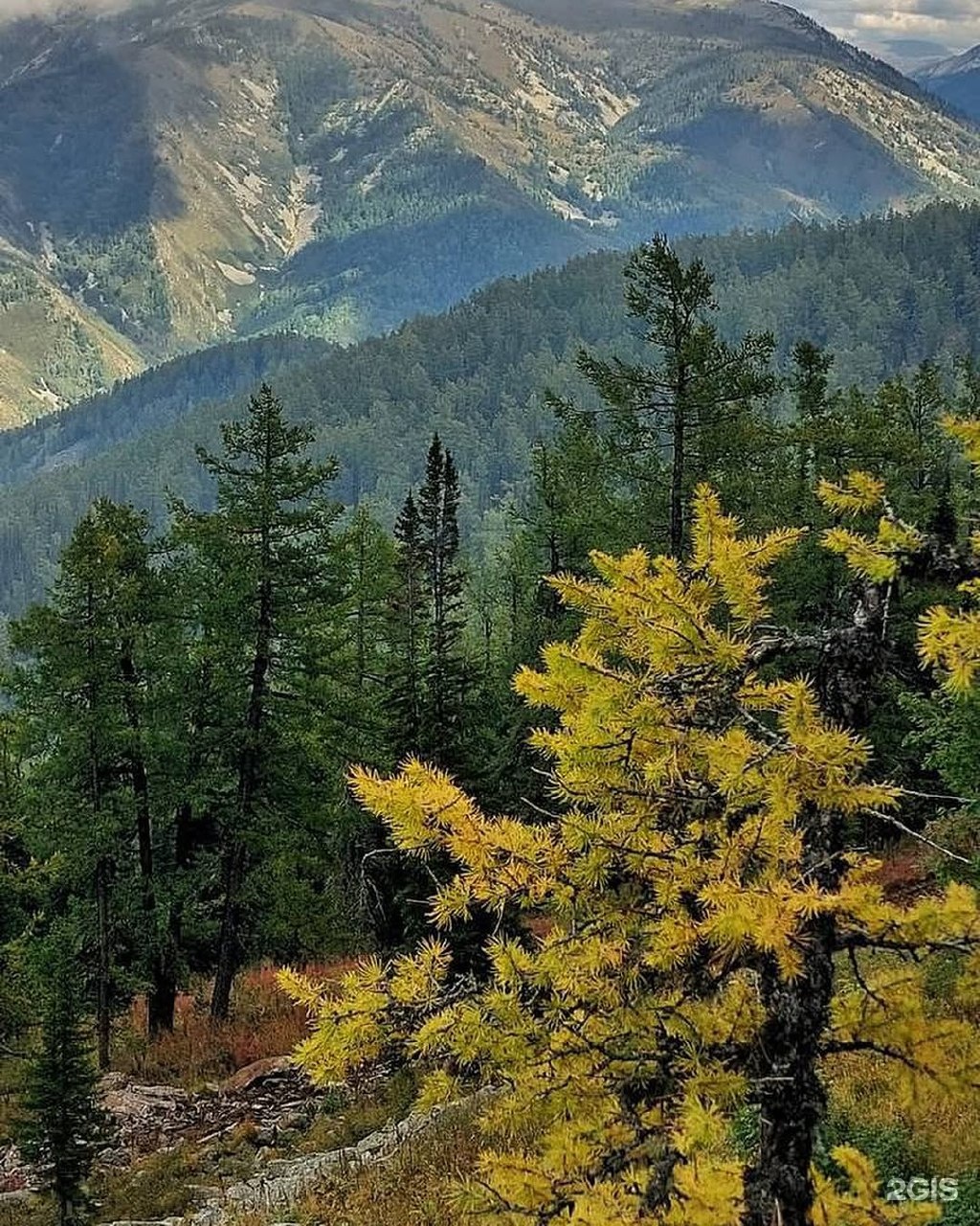 Altai Mountains Resort