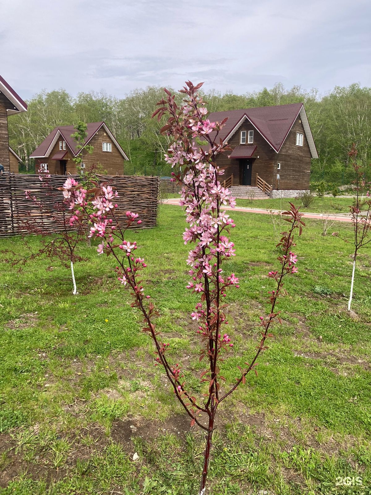 Турбаза Лесная поляна в Камчатском крае