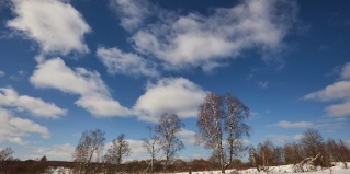 Лобаново: Коттедж В Чемодано