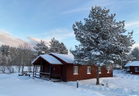 Коттедж Ряйсяля в Ленинградской области