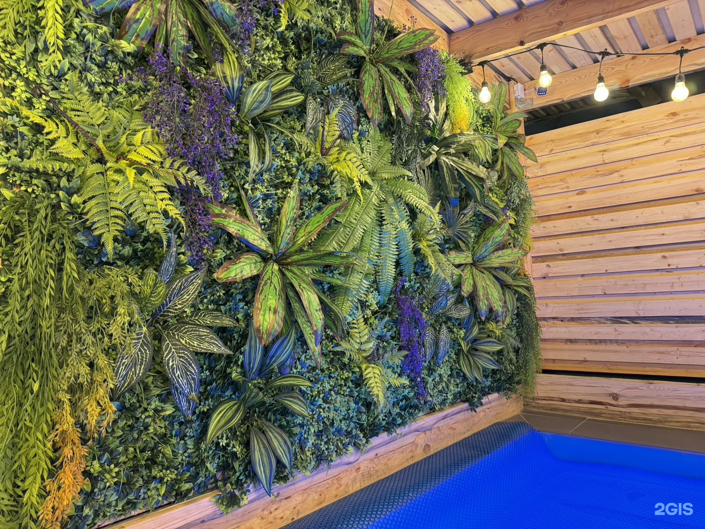 Monte Carlo
