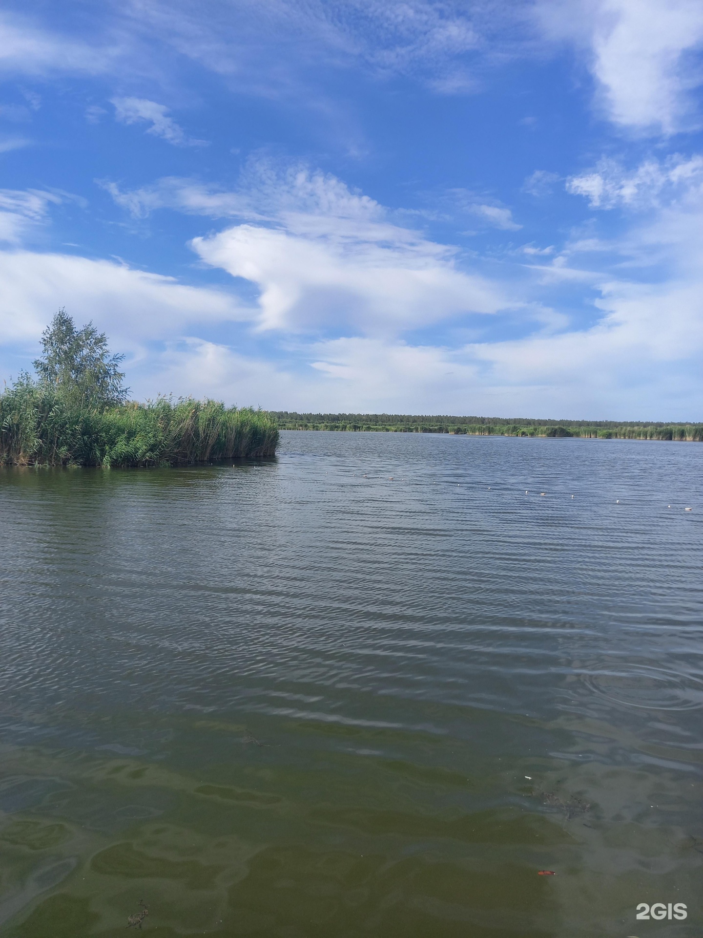 Алтай
