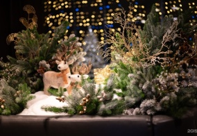 Отель ibis Москва Киевская в Москве