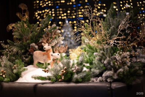 Москва: Отель ibis Москва Киевская