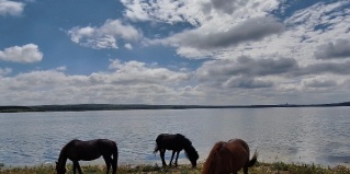 Ургуново: Турбаза Ургун