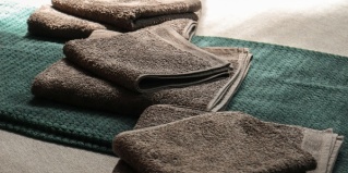 Чемал: Отель Royal Forest