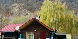 Никитино: Отель Отдых на пасеке