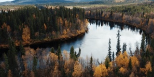 Зверосовхоз: Глэмпинг Северное Cияние