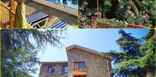 Сочи: Гостевой дом Рай на 72