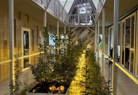 Отель Икса в Шымкенте