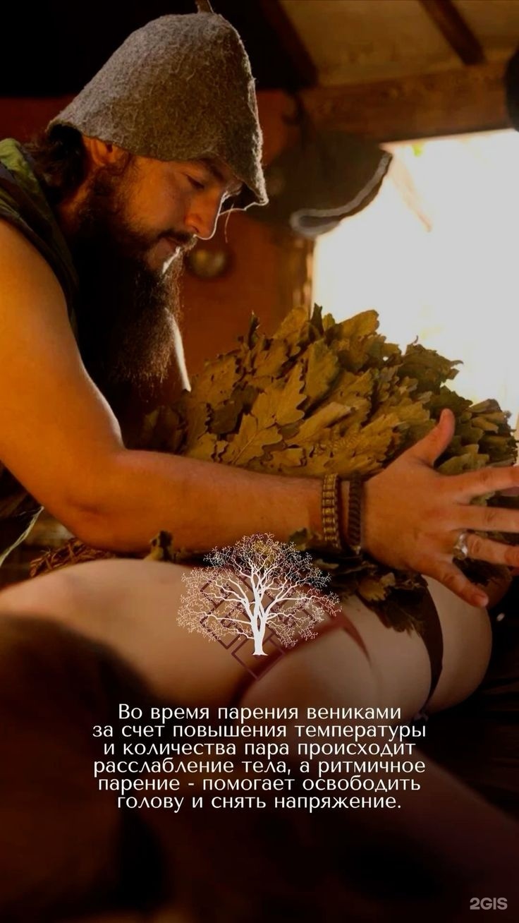 Каталея