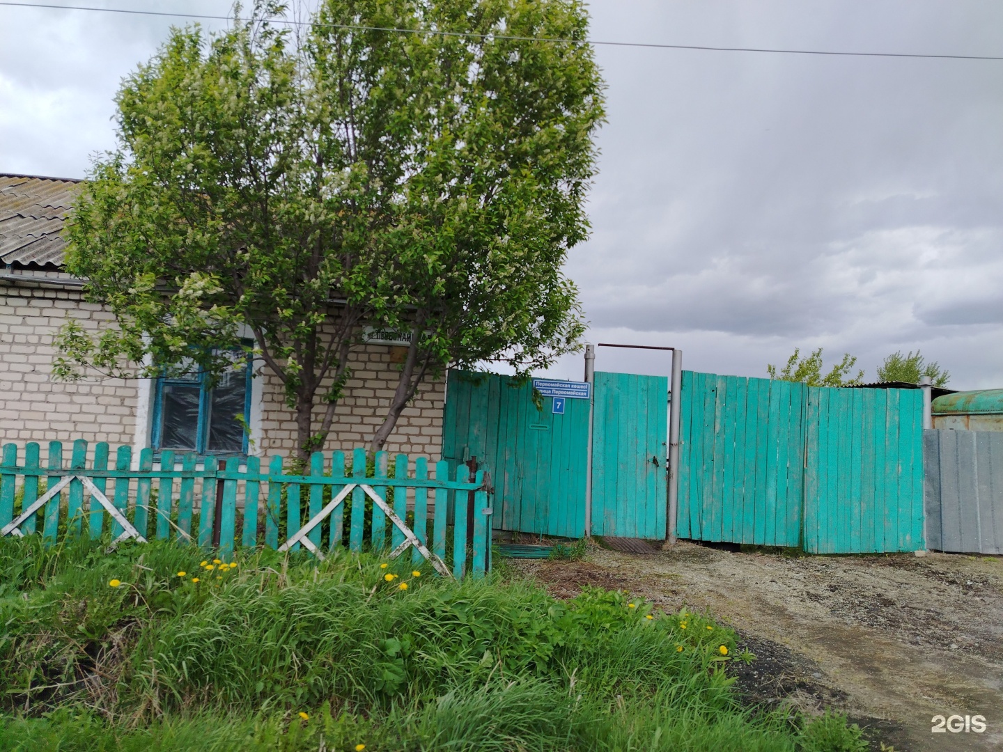 У Мурата