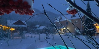 Ая: Гостевой дом Белый аист