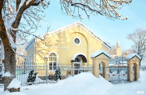 рп. Пушкинские Горы: Коттедж Exclusive palace